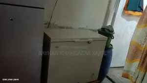 Singer Deep Refrigerator