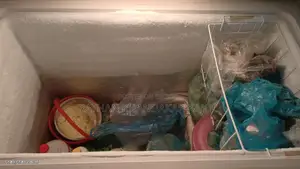 Singer Deep Refrigerator