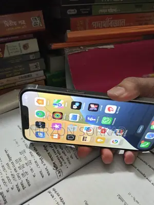 Apple iPhone 12 Pro Max (Used)