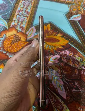 Apple iPhone XS (Used)