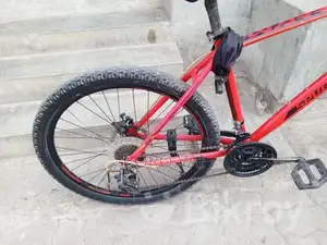 Bicycle Sale