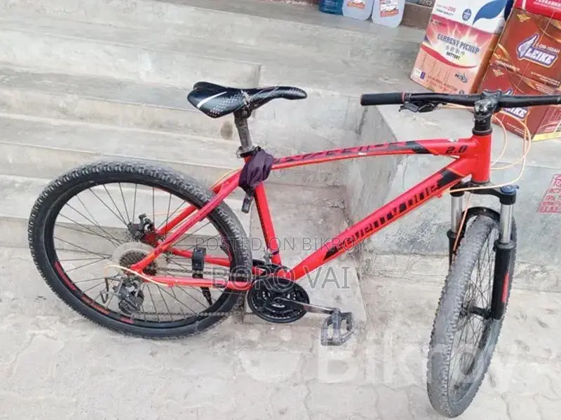 Bicycle Sale