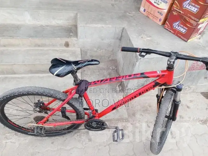 Bicycle Sale