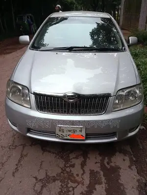 Toyota Fielder silver 2004