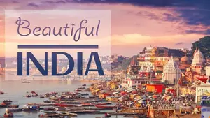 Indian Visa Processing