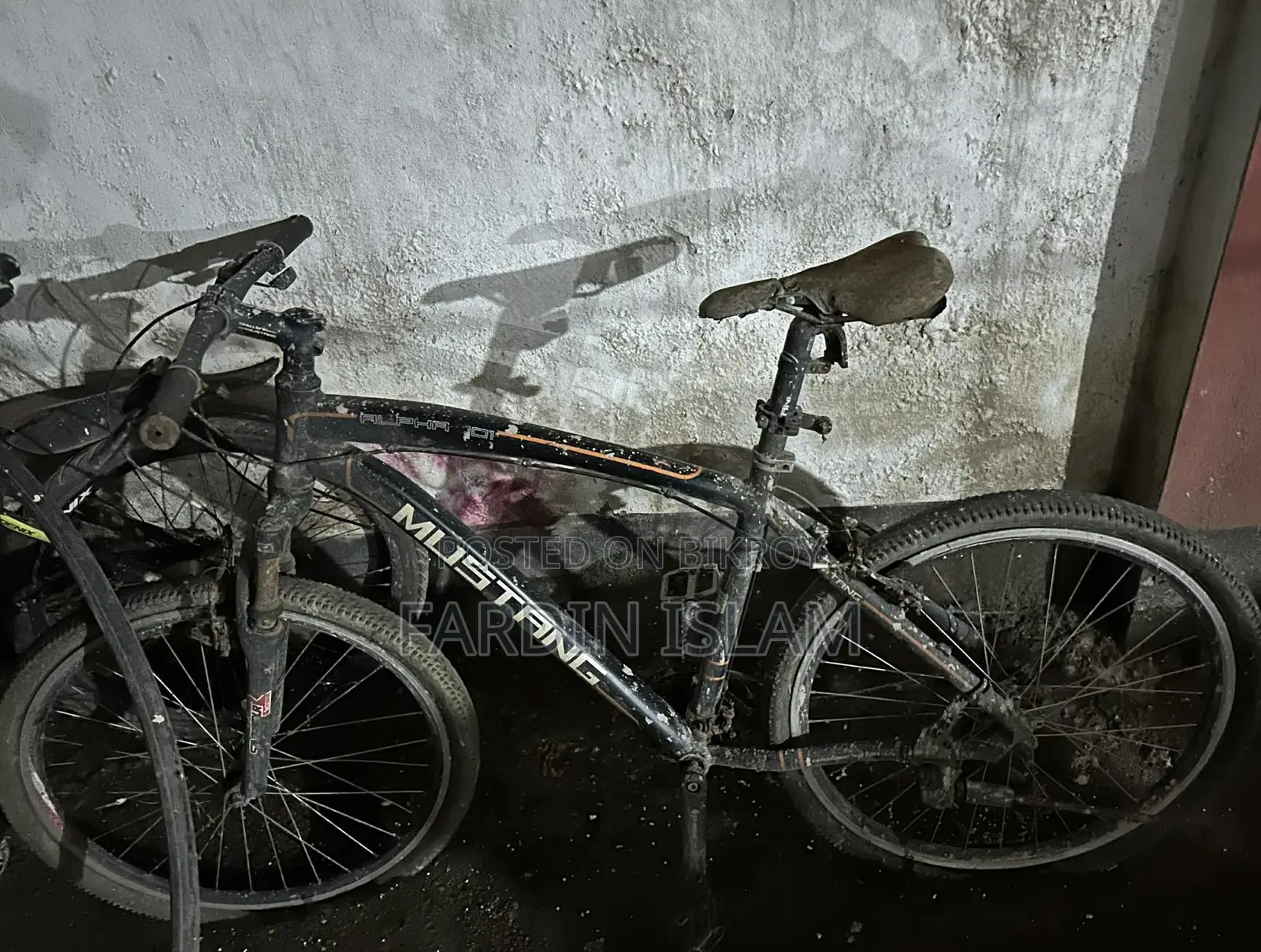 mustang cycle