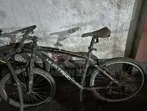 mustang cycle