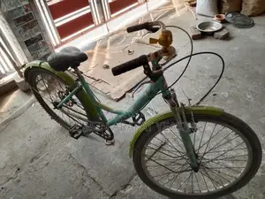 Bicycle for Sale