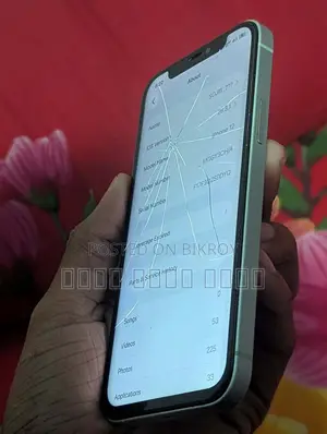 Apple iPhone 12 (Used)