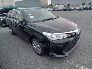 Toyota Fielder EX 2021