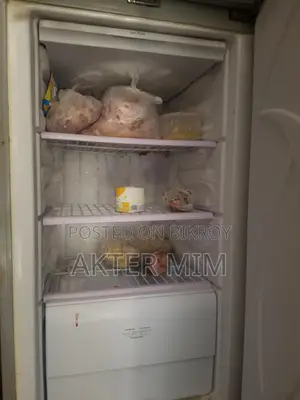 Walton Fridge For Sale