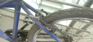 Duranta Non-Gear Cycle