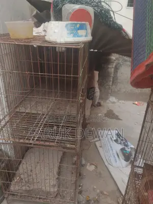 পাখির খাঁচা
