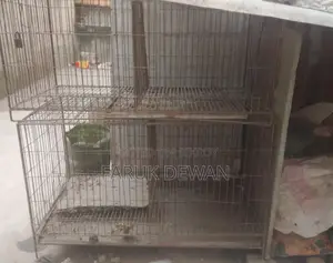 পাখির খাঁচা