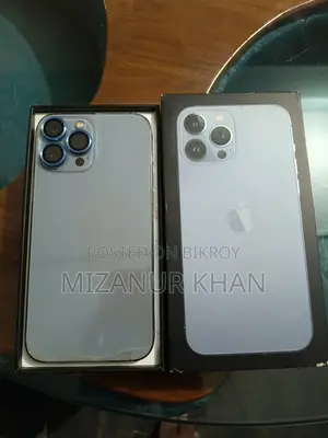 Apple iPhone 13 Pro Max (Used)