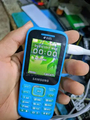 Samsung Guru Music 2 Network Problem (Used)