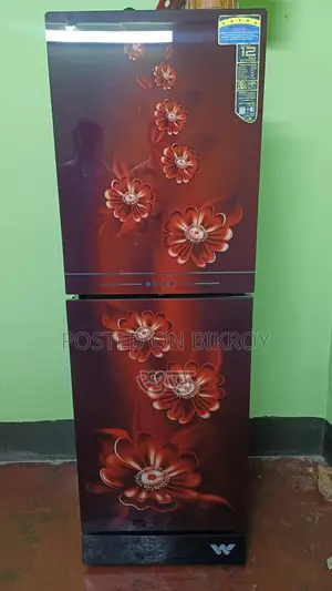 Walton Fridge, used for only two years