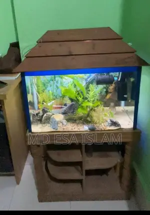 ২ ফিট অ্যাকুরিয়াম ৭০ লিটার ফুল সেটআপ