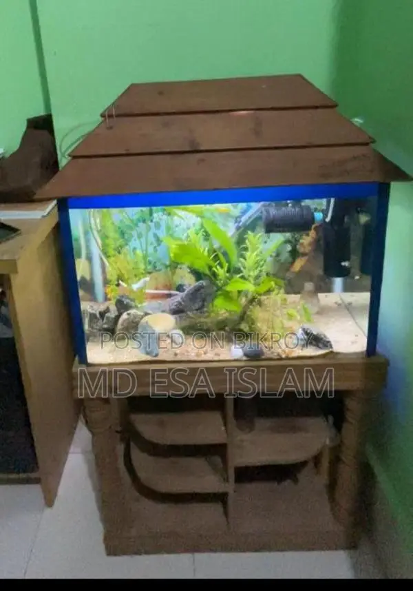 ২ ফিট অ্যাকুরিয়াম ৭০ লিটার ফুল সেটআপ