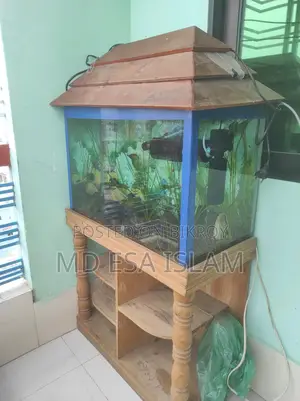 ২ ফিট অ্যাকুরিয়াম ৭০ লিটার ফুল সেটআপ