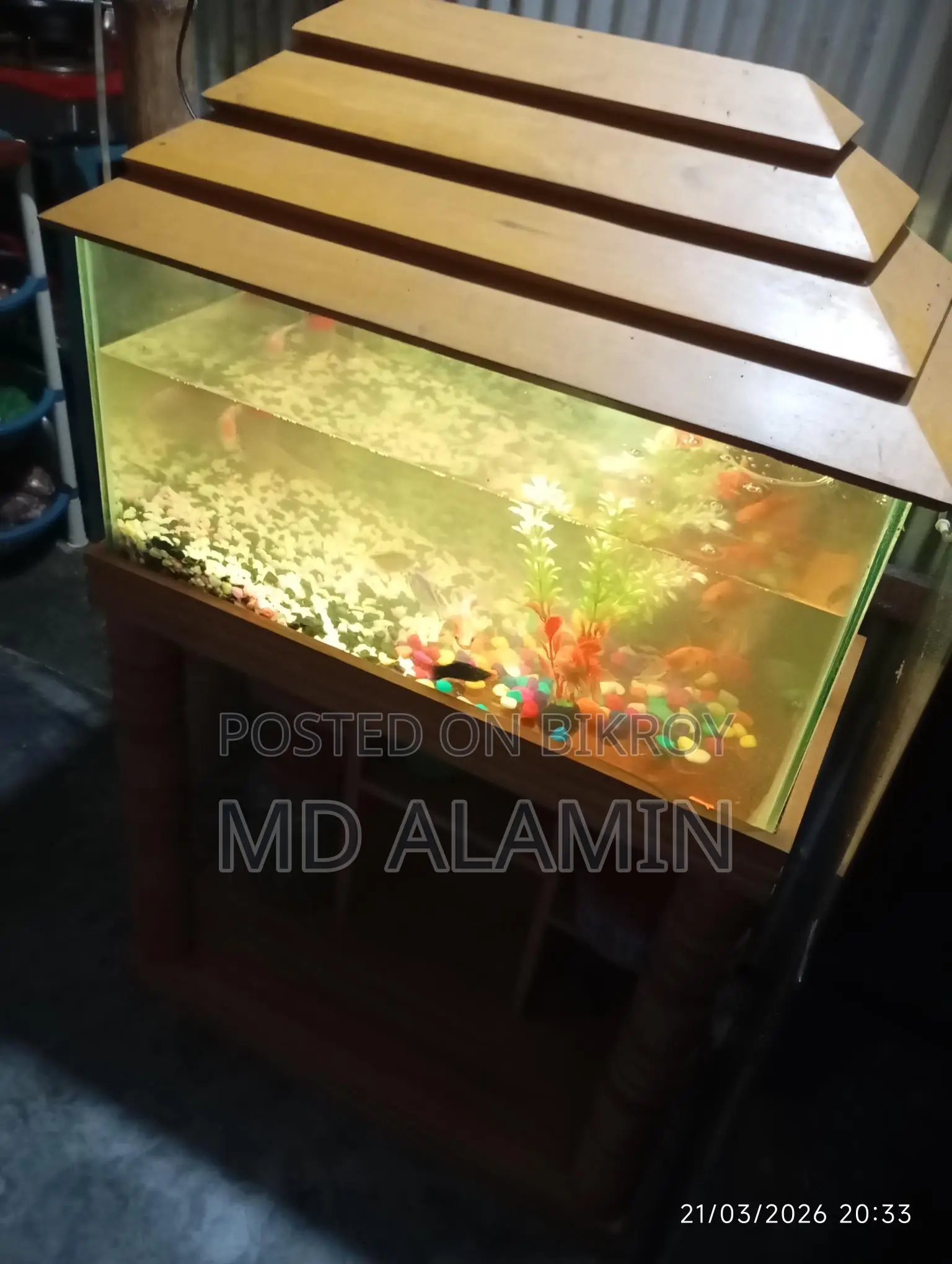 ইমারজেন্সি বিক্রি করবো একুরিয়াম