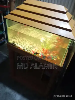 ইমারজেন্সি বিক্রি করবো একুরিয়াম