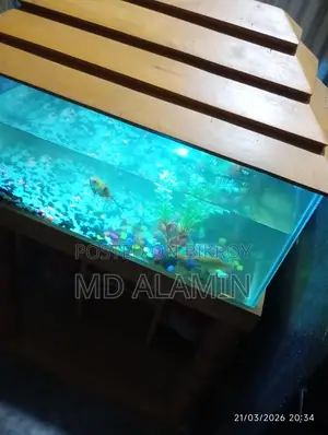 ইমারজেন্সি বিক্রি করবো একুরিয়াম