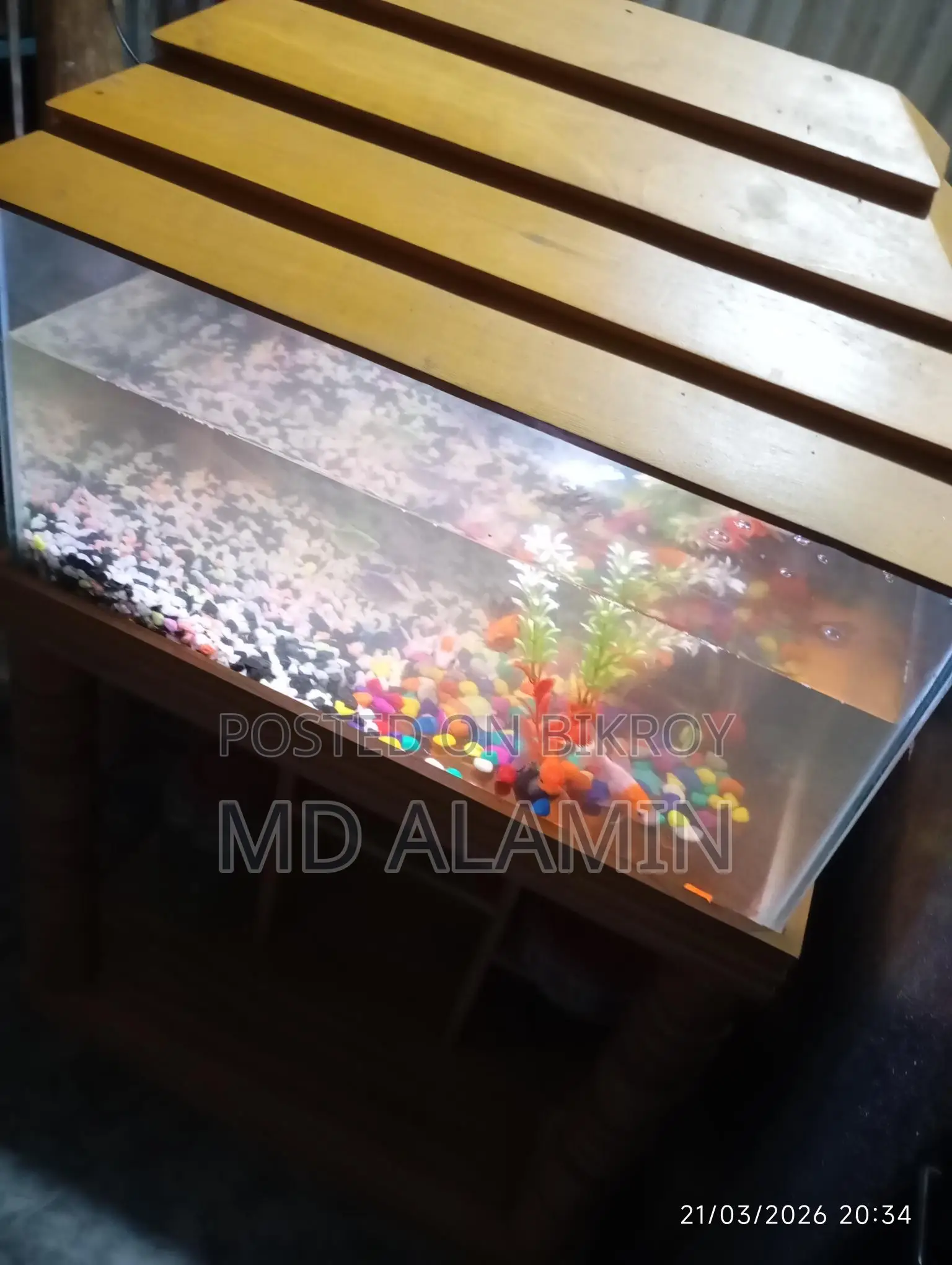 ইমারজেন্সি বিক্রি করবো একুরিয়াম
