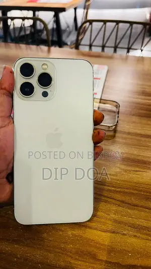 Apple iPhone 13 Pro Max ` (Used)