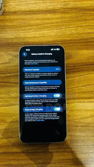 Apple iPhone 13 Pro Max ` (Used)