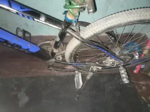 Bicycle for Sale