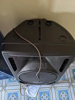 Delta Audio Mirage 12a. 300 Watt Professional Speaker System