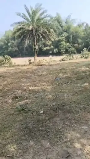 17 Bigha Land for Sale, 8km from Dhaka-Mymensingh Road