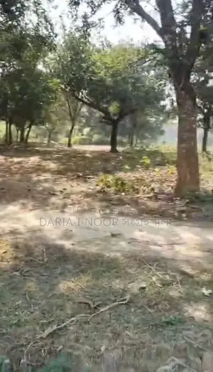 17 Bigha Land for Sale, 8km from Dhaka-Mymensingh Road