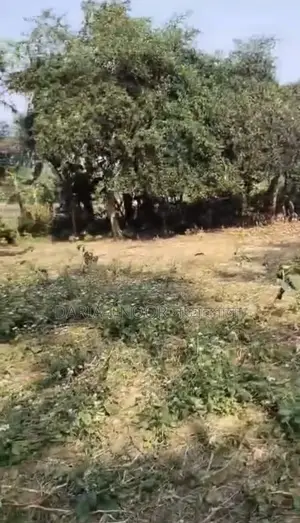 17 Bigha Land for Sale, 8km from Dhaka-Mymensingh Road