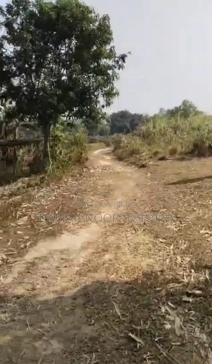 17 Bigha Land for Sale, 8km from Dhaka-Mymensingh Road