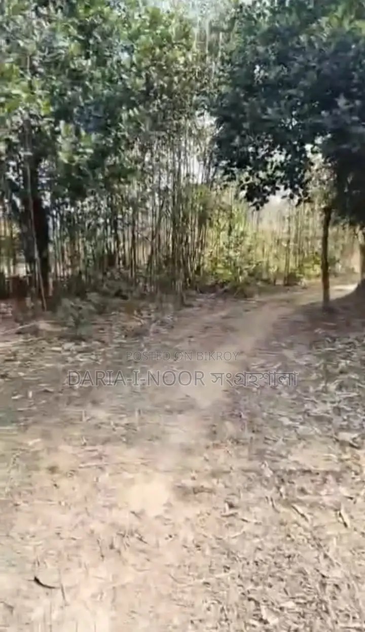 17 Bigha Land for Sale, 8km from Dhaka-Mymensingh Road