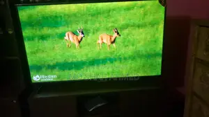 Walton Smart TV