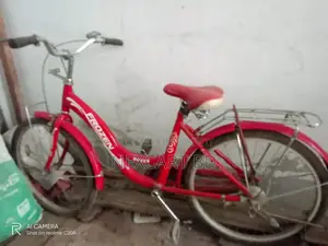 Girls' Bicycle for Sale (Frozen)