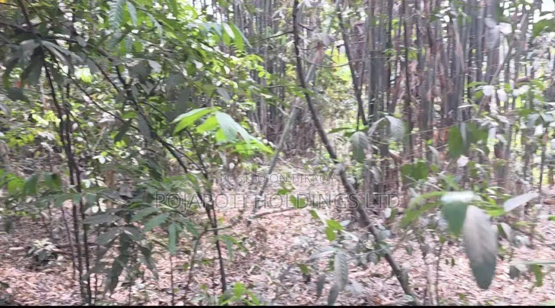 High Land for Sale for Garden House or Resort near Purbachal