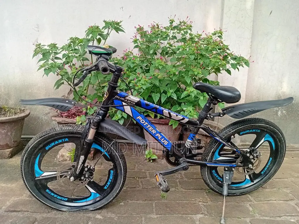 Potter Plus Duranta by Cycle