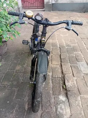 Potter Plus Duranta by Cycle