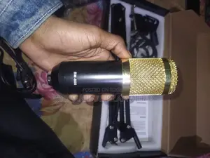 BM800 Condenser Microphone Argent Sell