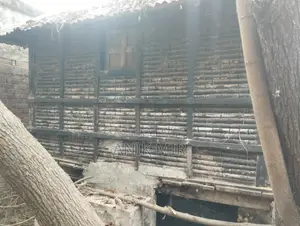 Grain Storage Bin (Dhaner Gola)