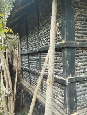 Grain Storage Bin (Dhaner Gola)