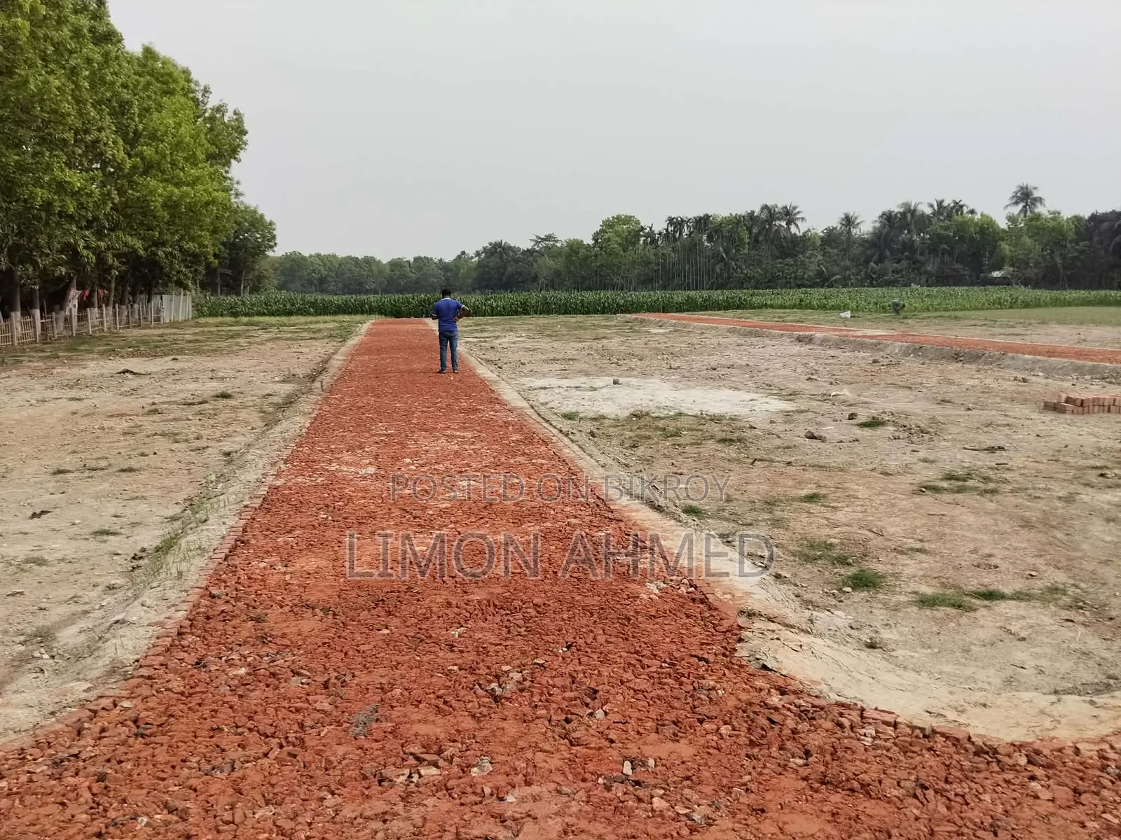 Buy land at a fair price within Kushtia Municipality, behind British Tobacco.