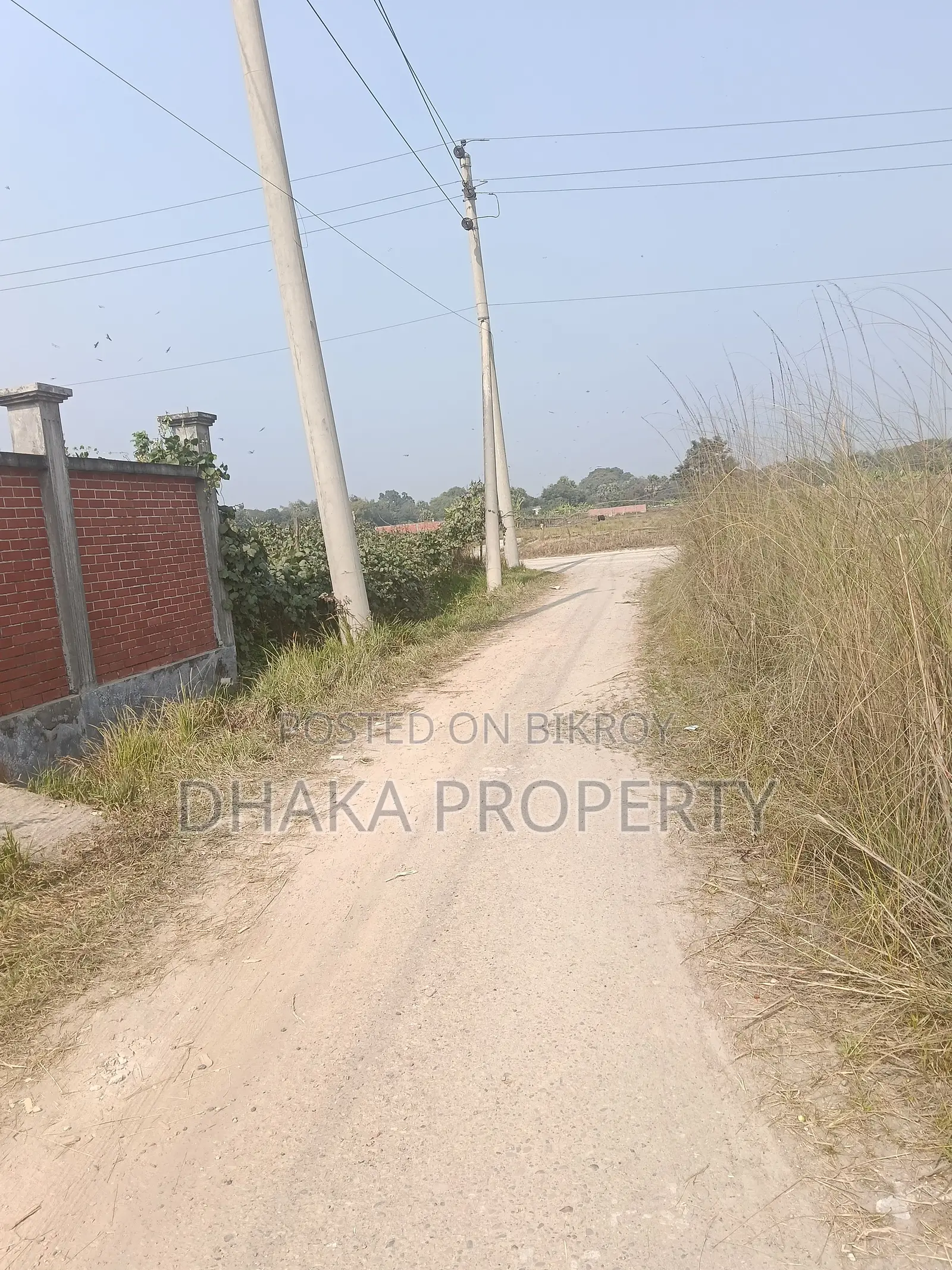 30ft Rd 6 Katha Park South at Sector- 28