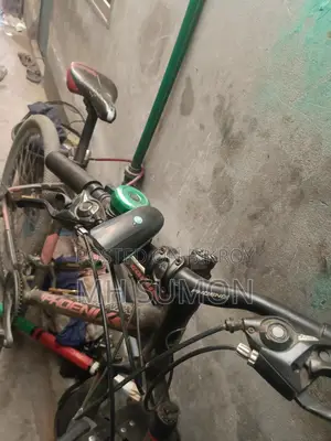 Phoenix Bicycle for Sale
