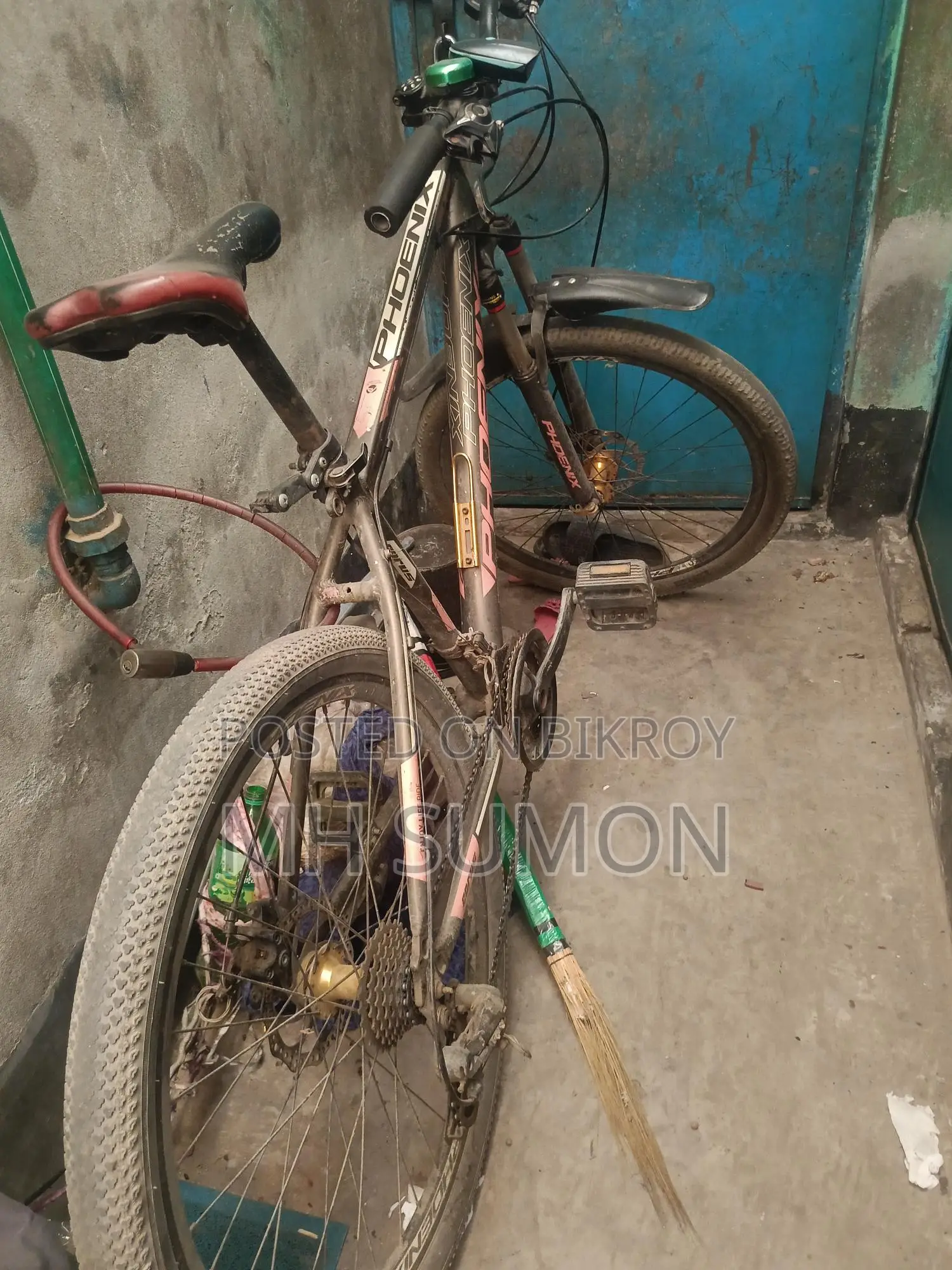 Phoenix Bicycle for Sale