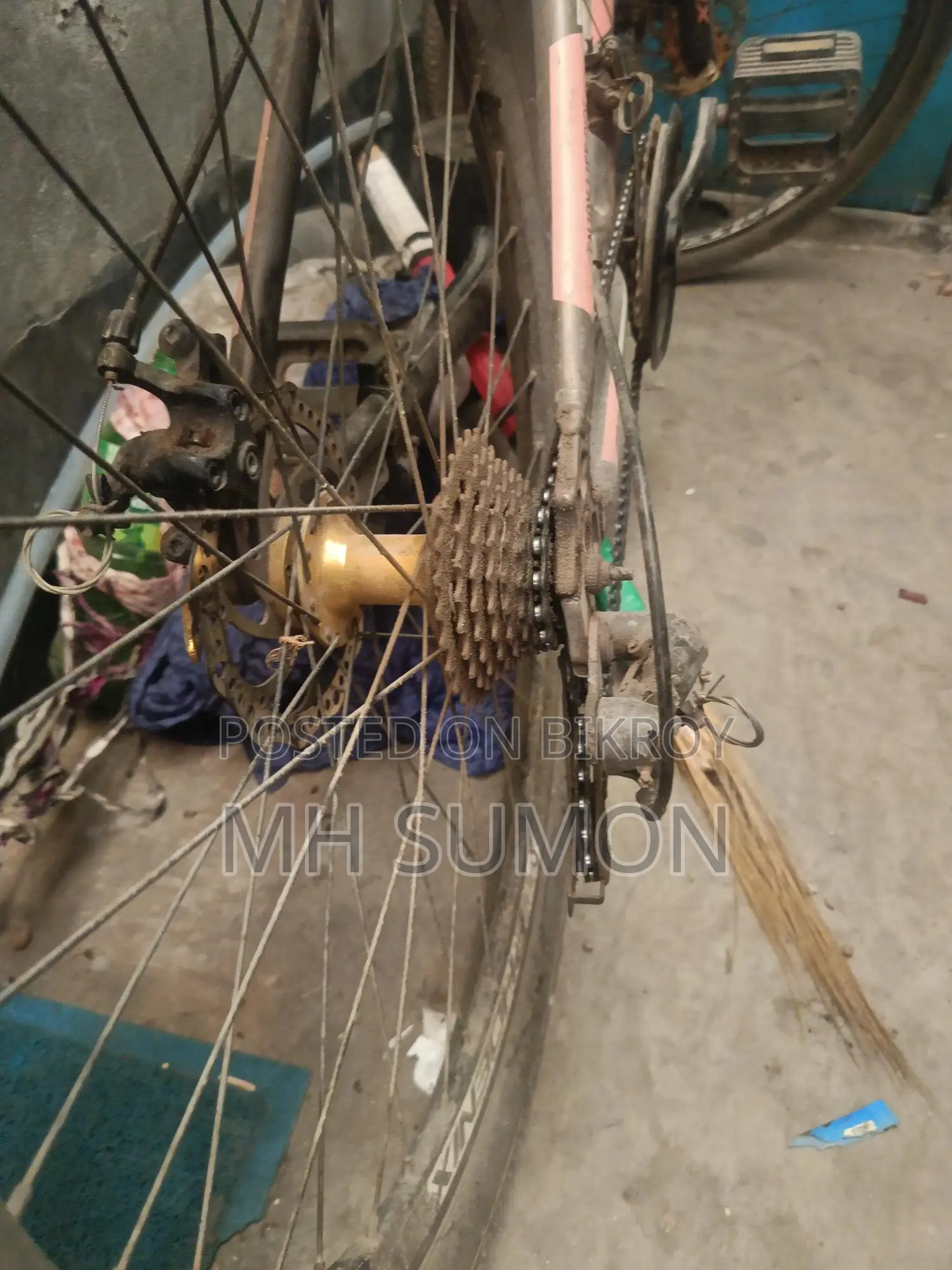 Phoenix Bicycle for Sale